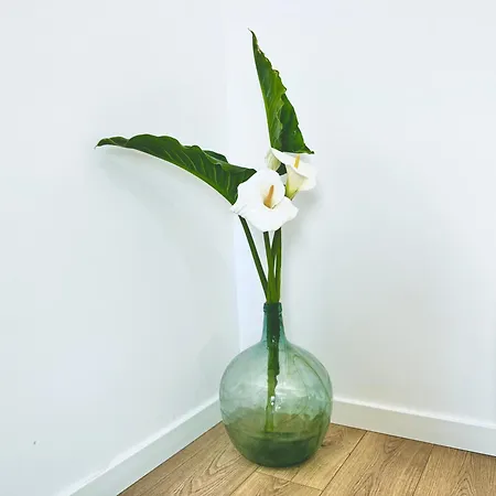 Turistico En Armenteira A Fragua Do Ferreiro *