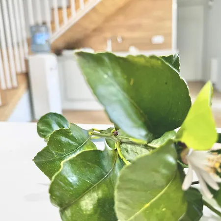 Turistico En Armenteira A Fragua Do Ferreiro *